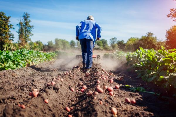 Agriculture
